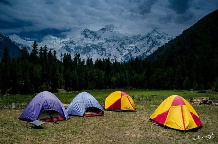 Managing Director Fairy Meadows Cottages - Qari Rehmat Ullah
